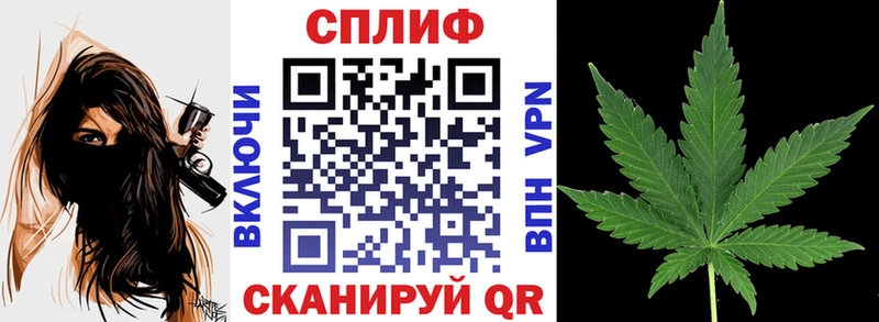 Наркошоп купить Псилоцибиновые грибы  Каннабис  Меф мяу мяу  Гашиш  Кокаин  NBOMe  АМФЕТАМИН  Хвалынск